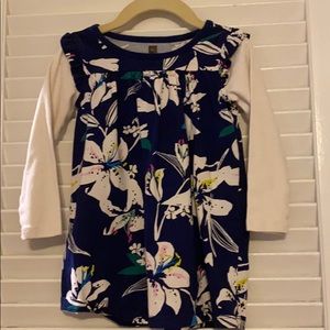 Tea long sleeved dress, size 2T